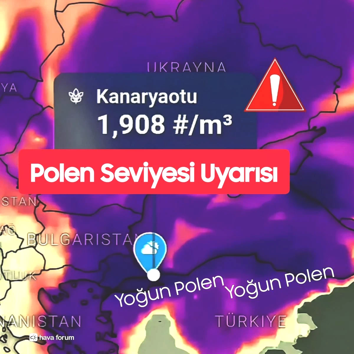istanbul-polen-yogunlugu-ne-zaman.jpeg