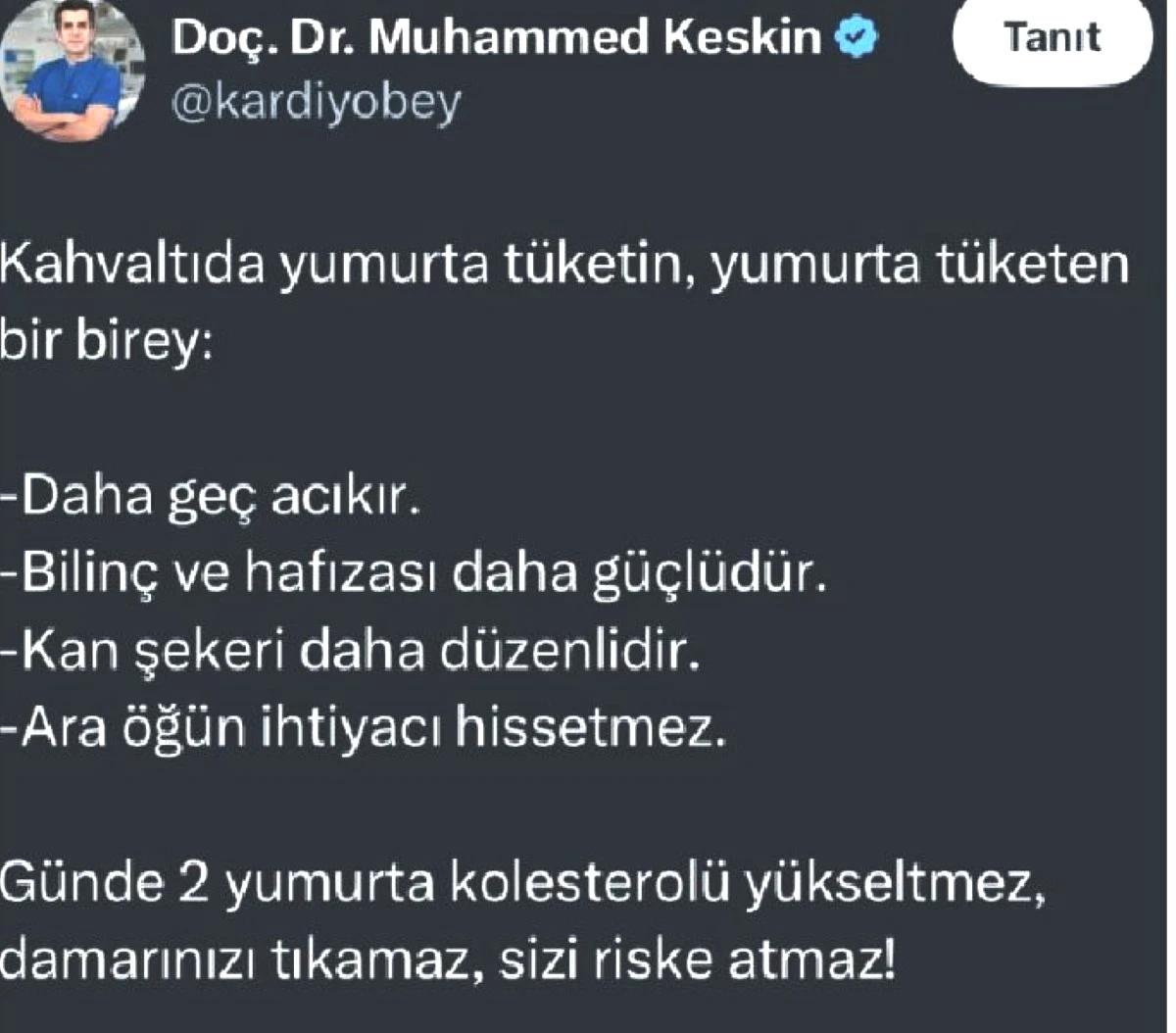 .jpg