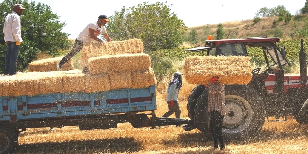 tekirdag-balya.jpg